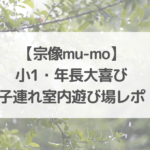 雨の木の写真