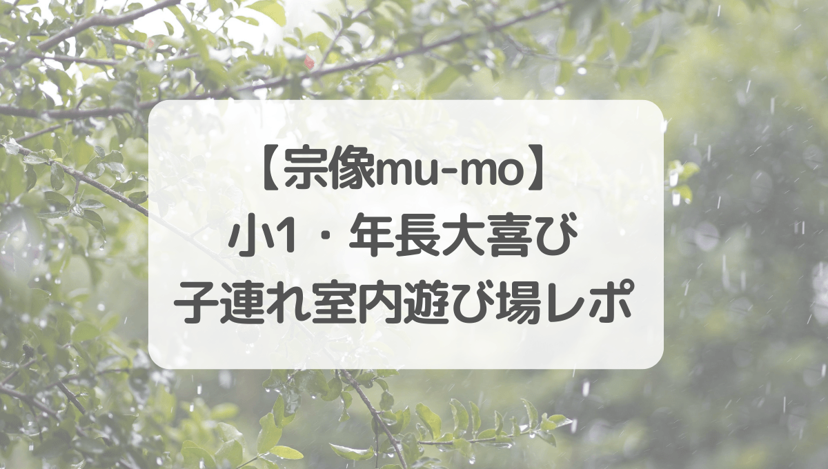 雨の木の写真